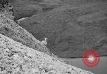 Image of igloo creek Alaska United States USA, 1925, second 51 stock footage video 65675051279