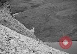 Image of igloo creek Alaska United States USA, 1925, second 52 stock footage video 65675051279