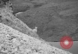 Image of igloo creek Alaska United States USA, 1925, second 55 stock footage video 65675051279
