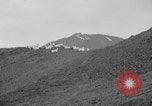 Image of herd of Caribou Alaska USA, 1929, second 13 stock footage video 65675051280