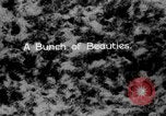 Image of herd of Caribou Alaska USA, 1929, second 14 stock footage video 65675051280