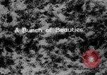 Image of herd of Caribou Alaska USA, 1929, second 15 stock footage video 65675051280