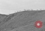 Image of herd of Caribou Alaska USA, 1929, second 17 stock footage video 65675051280