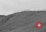 Image of herd of Caribou Alaska USA, 1929, second 18 stock footage video 65675051280