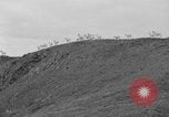 Image of herd of Caribou Alaska USA, 1929, second 19 stock footage video 65675051280