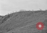 Image of herd of Caribou Alaska USA, 1929, second 20 stock footage video 65675051280