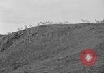 Image of herd of Caribou Alaska USA, 1929, second 21 stock footage video 65675051280