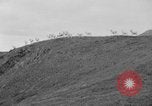 Image of herd of Caribou Alaska USA, 1929, second 22 stock footage video 65675051280