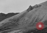 Image of herd of Caribou Alaska USA, 1929, second 25 stock footage video 65675051280