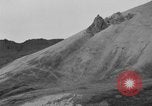 Image of herd of Caribou Alaska USA, 1929, second 26 stock footage video 65675051280