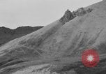 Image of herd of Caribou Alaska USA, 1929, second 27 stock footage video 65675051280