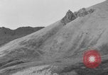 Image of herd of Caribou Alaska USA, 1929, second 29 stock footage video 65675051280