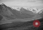 Image of herd of Caribou Alaska USA, 1929, second 33 stock footage video 65675051280