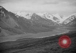 Image of herd of Caribou Alaska USA, 1929, second 34 stock footage video 65675051280