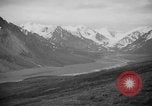 Image of herd of Caribou Alaska USA, 1929, second 35 stock footage video 65675051280