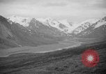 Image of herd of Caribou Alaska USA, 1929, second 36 stock footage video 65675051280