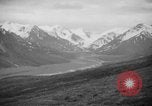 Image of herd of Caribou Alaska USA, 1929, second 37 stock footage video 65675051280