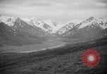 Image of herd of Caribou Alaska USA, 1929, second 38 stock footage video 65675051280