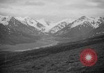 Image of herd of Caribou Alaska USA, 1929, second 40 stock footage video 65675051280