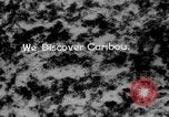 Image of herd of Caribou Alaska USA, 1929, second 44 stock footage video 65675051280