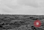 Image of herd of Caribou Alaska USA, 1929, second 45 stock footage video 65675051280