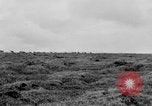 Image of herd of Caribou Alaska USA, 1929, second 46 stock footage video 65675051280