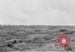 Image of herd of Caribou Alaska USA, 1929, second 47 stock footage video 65675051280