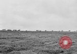 Image of herd of Caribou Alaska USA, 1929, second 48 stock footage video 65675051280