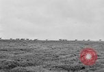 Image of herd of Caribou Alaska USA, 1929, second 49 stock footage video 65675051280