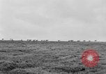 Image of herd of Caribou Alaska USA, 1929, second 50 stock footage video 65675051280