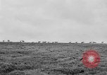 Image of herd of Caribou Alaska USA, 1929, second 51 stock footage video 65675051280