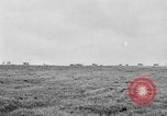 Image of herd of Caribou Alaska USA, 1929, second 52 stock footage video 65675051280