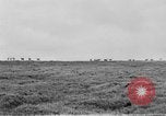 Image of herd of Caribou Alaska USA, 1929, second 54 stock footage video 65675051280