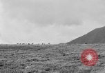 Image of herd of Caribou Alaska USA, 1929, second 58 stock footage video 65675051280