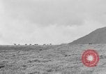 Image of herd of Caribou Alaska USA, 1929, second 59 stock footage video 65675051280