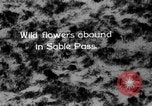 Image of Sable pass Alaska USA, 1925, second 1 stock footage video 65675051281