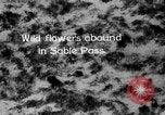 Image of Sable pass Alaska USA, 1925, second 3 stock footage video 65675051281