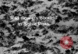 Image of Sable pass Alaska USA, 1925, second 4 stock footage video 65675051281