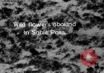 Image of Sable pass Alaska USA, 1925, second 5 stock footage video 65675051281