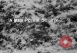 Image of Sable pass Alaska USA, 1925, second 48 stock footage video 65675051281