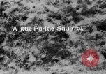 Image of Sable pass Alaska USA, 1925, second 50 stock footage video 65675051281