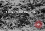Image of Sable pass Alaska USA, 1925, second 51 stock footage video 65675051281