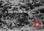 Image of Sable pass Alaska USA, 1925, second 52 stock footage video 65675051281