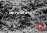 Image of Sable pass Alaska USA, 1925, second 53 stock footage video 65675051281