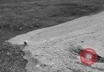 Standbild Eilson montieren Alaska USA, 1929, aus Sekunde 41 historischem Filmmaterial Videoclip 65675051282