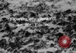 Standbild Mount McKinley Park Alaska USA, 1929, aus Sekunde 41 historischem Filmmaterial Videoclip 65675051283