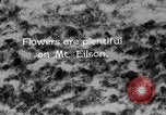 Standbild Mount McKinley Park Alaska USA, 1929, aus Sekunde 42 historischem Filmmaterial Videoclip 65675051283