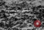 Standbild Mount McKinley Park Alaska USA, 1929, aus Sekunde 44 historischem Filmmaterial Videoclip 65675051283