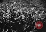 Standbild Mount McKinley Park Alaska USA, 1929, aus Sekunde 53 historischem Filmmaterial Videoclip 65675051283