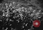 Standbild Mount McKinley Park Alaska USA, 1929, aus Sekunde 54 historischem Filmmaterial Videoclip 65675051283